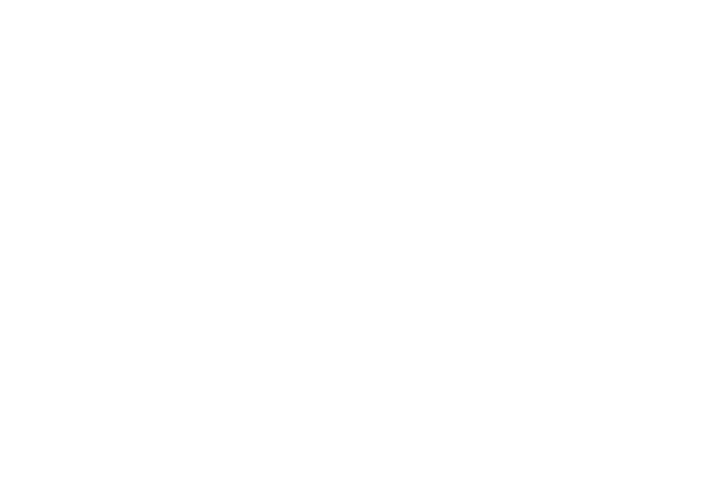 graph to 400 stores in 2001