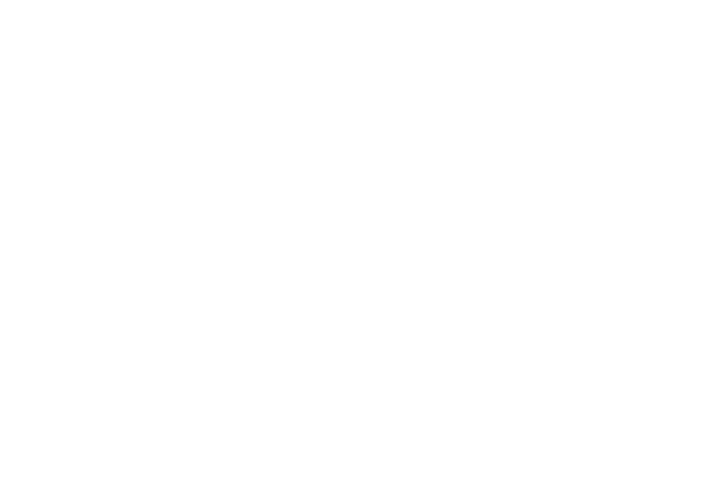 graph to 400 branches in 2001