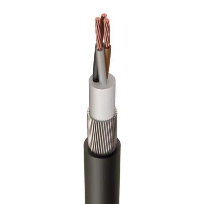 2 5mm 3 Core Pvc Swa Xlpe Armoured Cable Cut Length Sold By The Mtr H6943xl2 5 Cef
