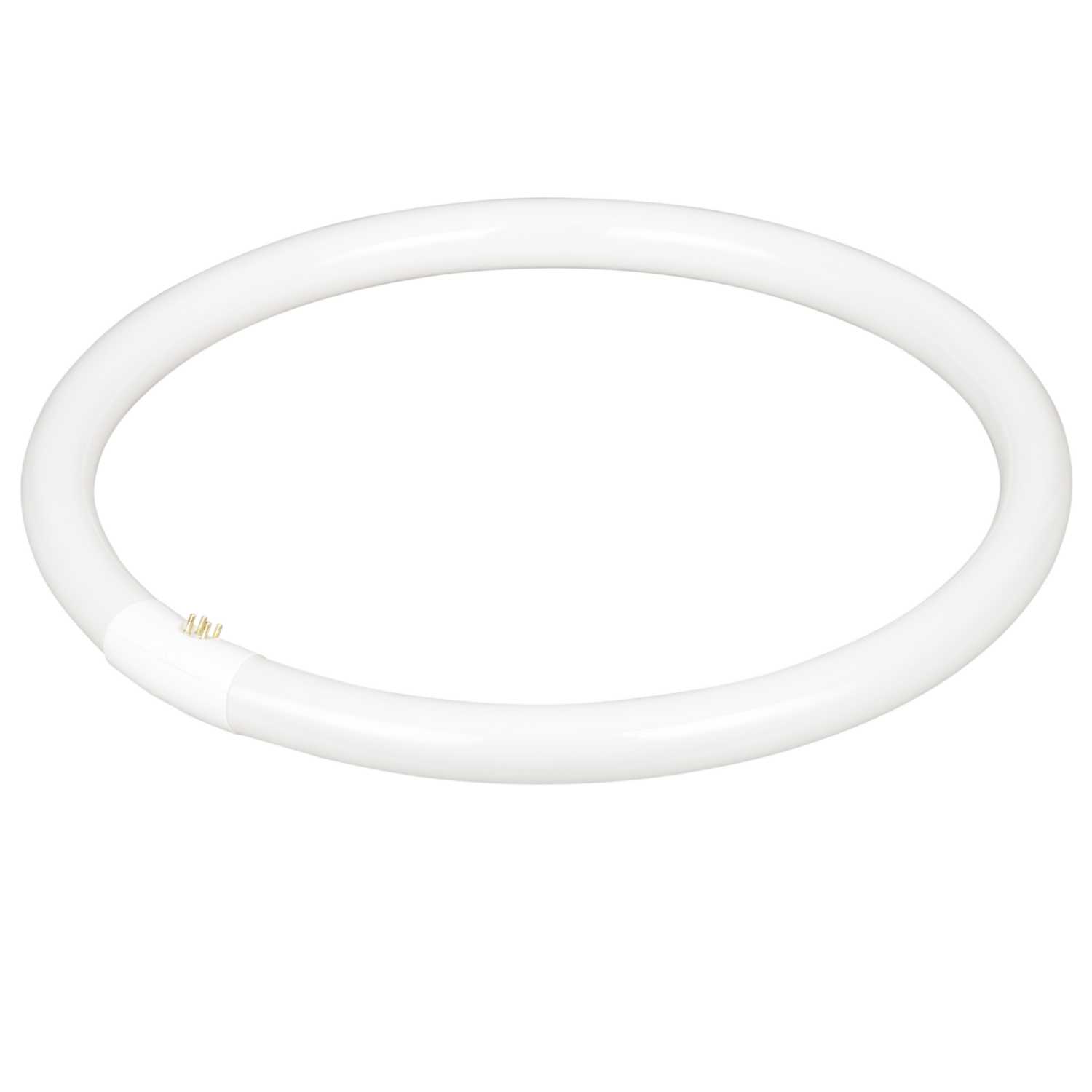 Bell 40W G10q 4 Pin T9 Circular Tube 4000K (04196) CEF