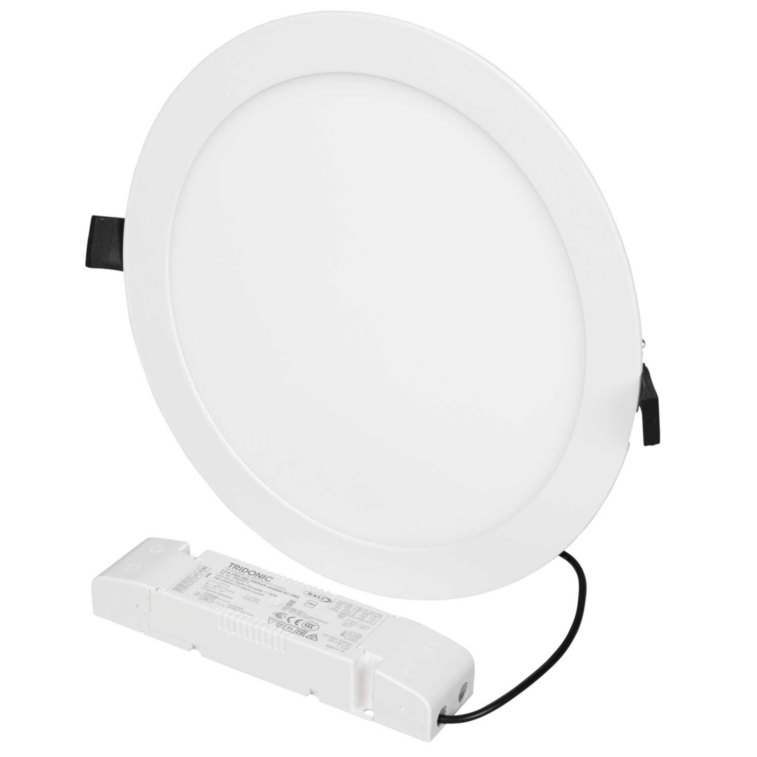 Bell 24W LED 300mm DALI Dimmable Circular Downlight 4000K (09743) CEF