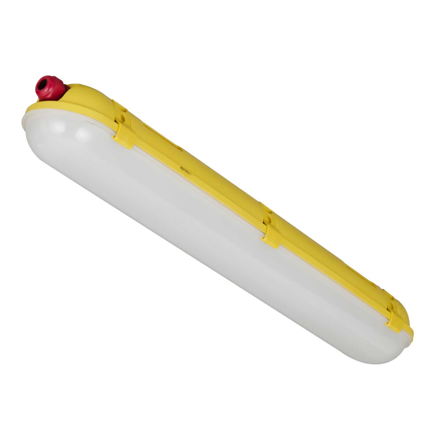 Briticent 20W 110V 2ft LED Twin Emergency Non Corrosive Fitting 6300K