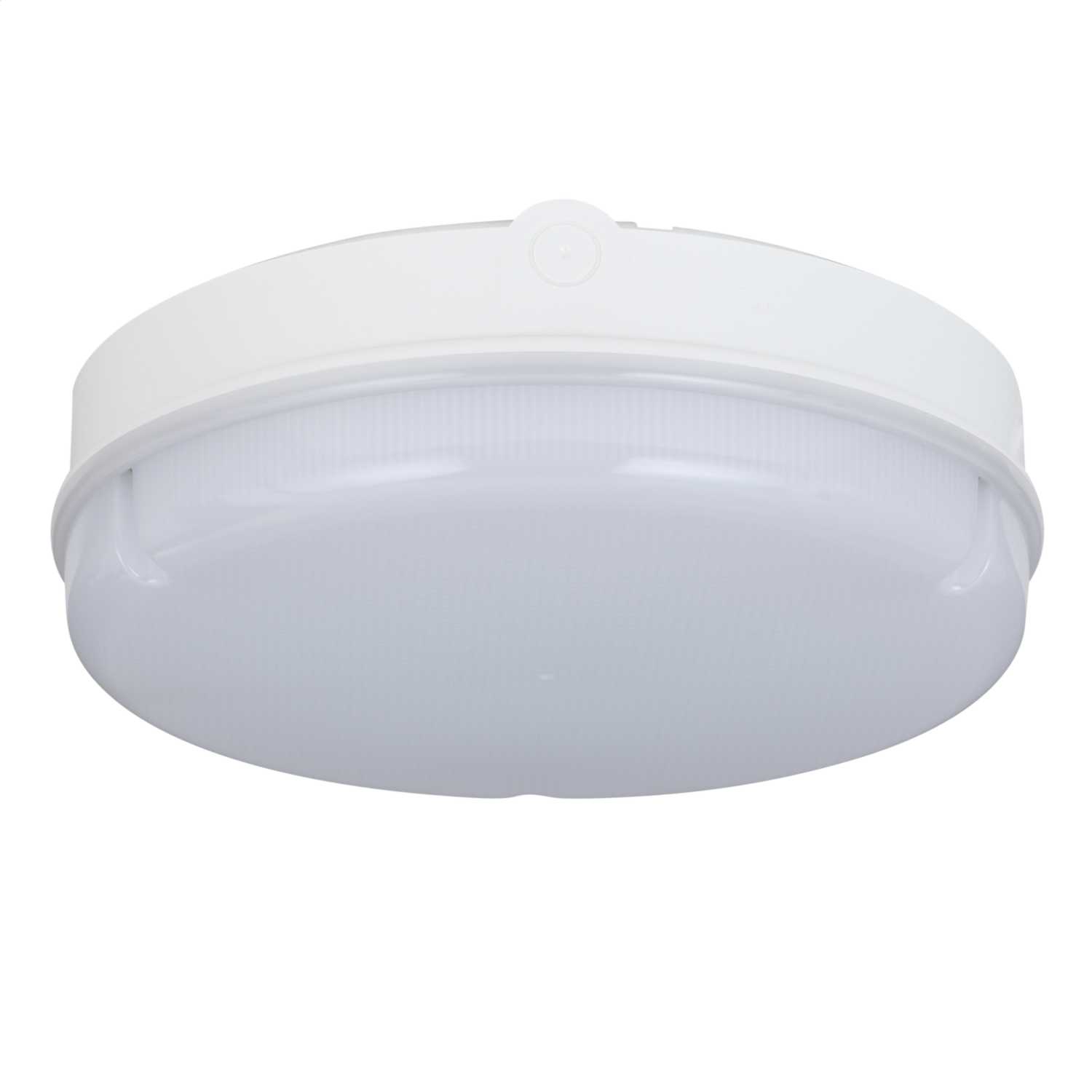 Robus 10W LED Compact Bulkhead White 4000K (RC100LEDN01) CEF