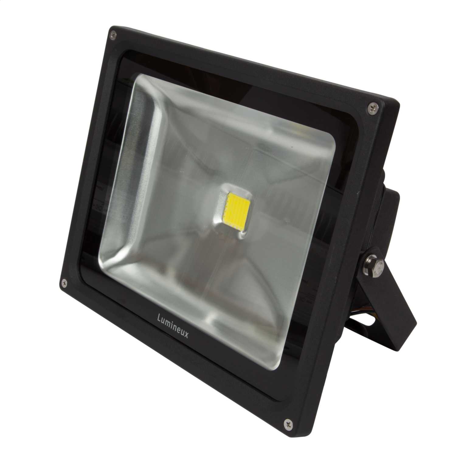 Lumineux 50W LED IP65 Floodlight Black 4000K (400377BL) CEF
