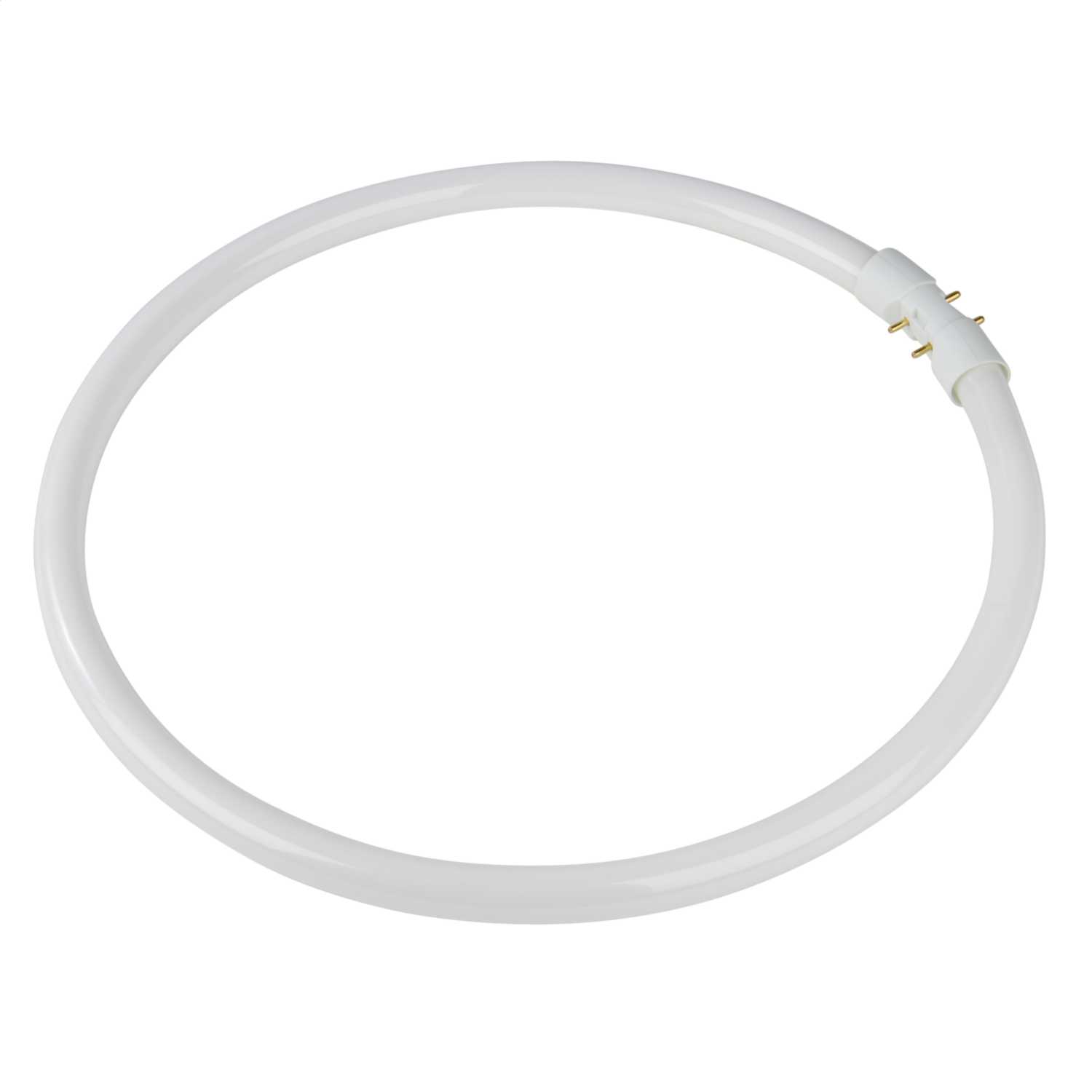Osram Lumilux T5 FC 40W 2GX13 T5 Circular Tube 4000K (4050300528526) | CEF