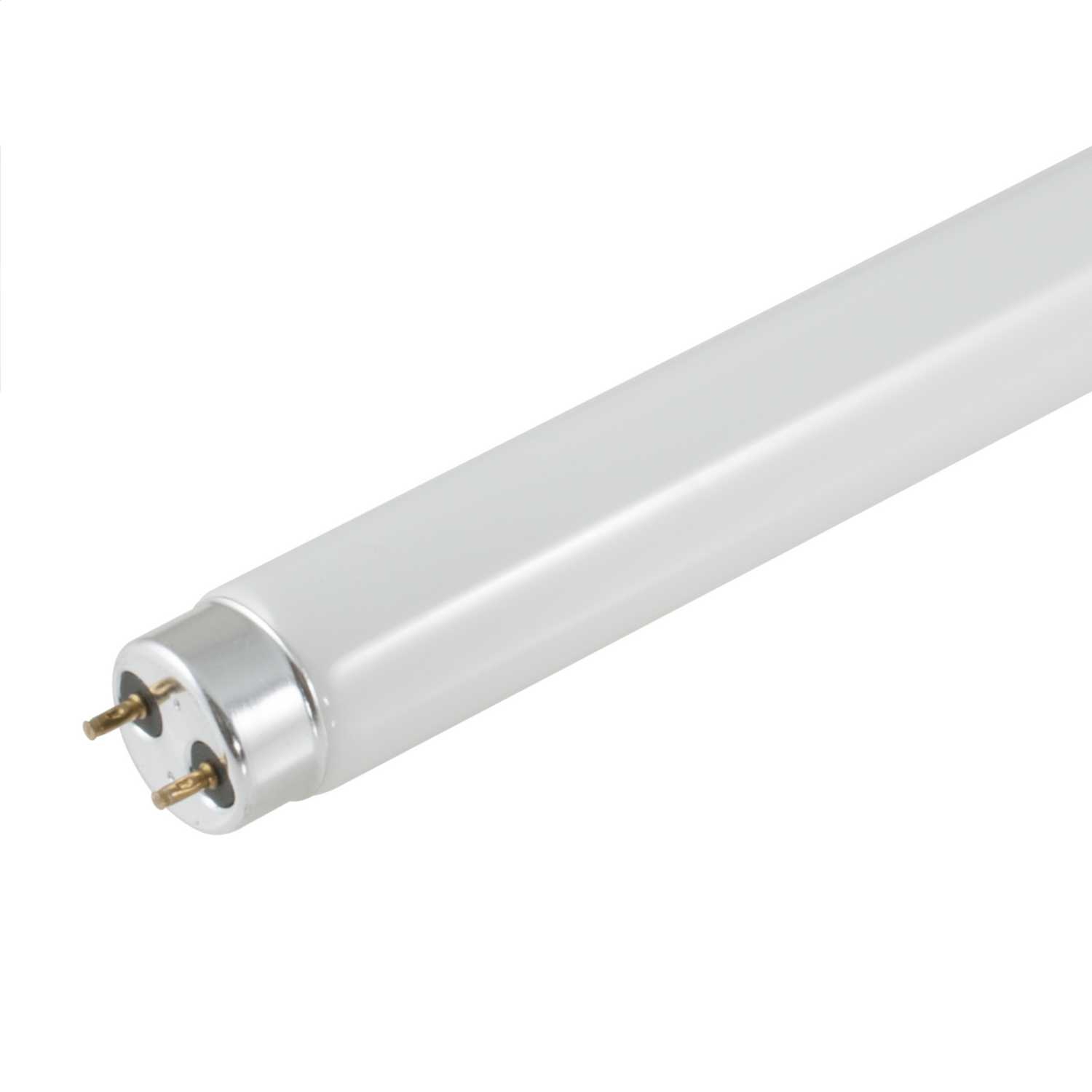 lamp BELL 18W 18 watt 2ft T8 fluorescent tube 600mm cool white 4000k 26mm dia