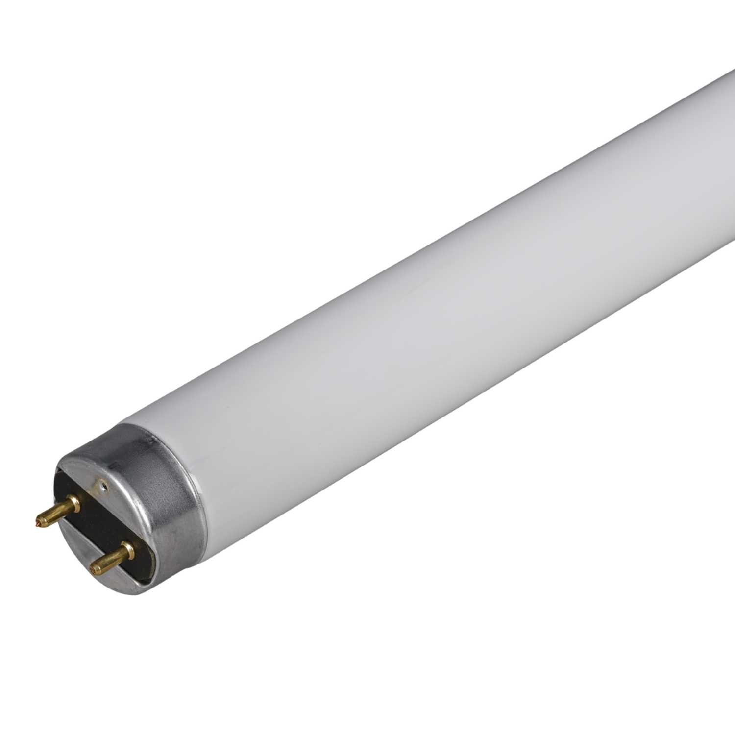 Philips Master TL-D 18W T8 2ft (600mm) Triphosphor Fluorescent Tube ...